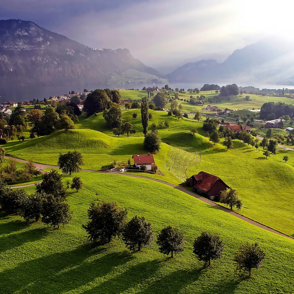 agriturismo online